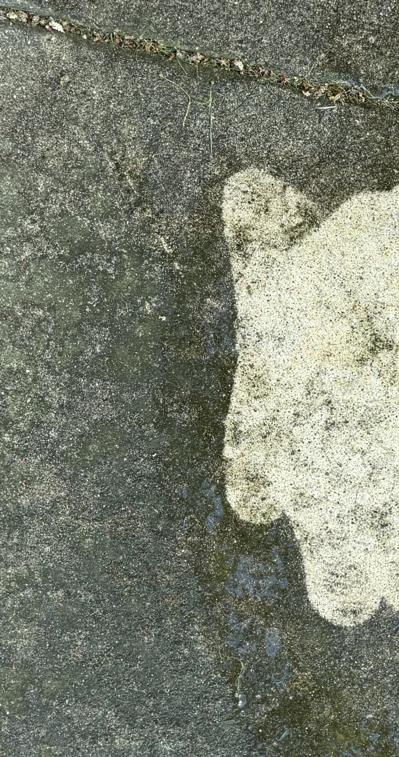 Driveway power washing before and after results